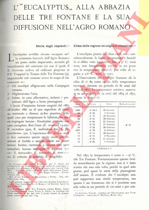 MNIUCCI DEL ROSSO Stefano - - L''Eucalyptus' alla Abbazia delle Tre Fontane e la sua diffusione nell'Agro Romano.
