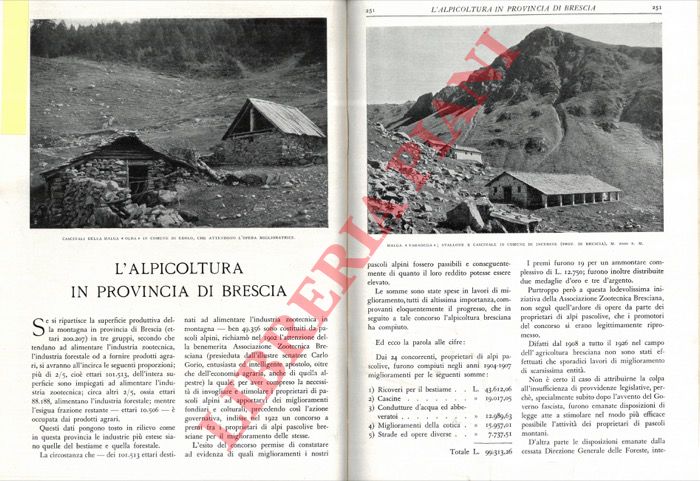 ANGELINI Giulio - - L'apicoltura in provincia di Brescia.