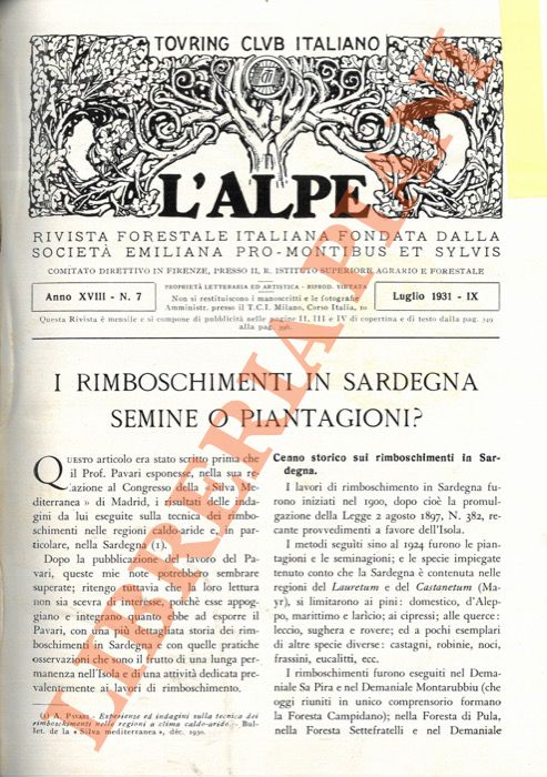 INGHILLERI C. - - I rimboschimenti in Sardegna. Semine o piantagioni?.