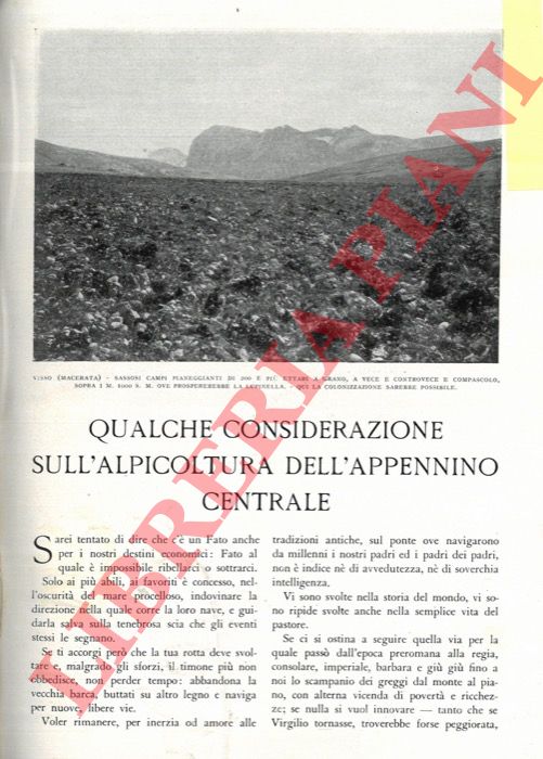 FRIEDMANN Giovanni - - Qualche considerazione sull'alpicoltura dell'Appennino Centrale.