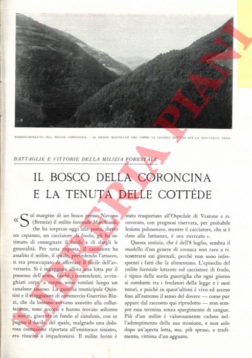 TEGANI Ulderico - - Il bosco della Coroncina e la tenuta delle Cottde.