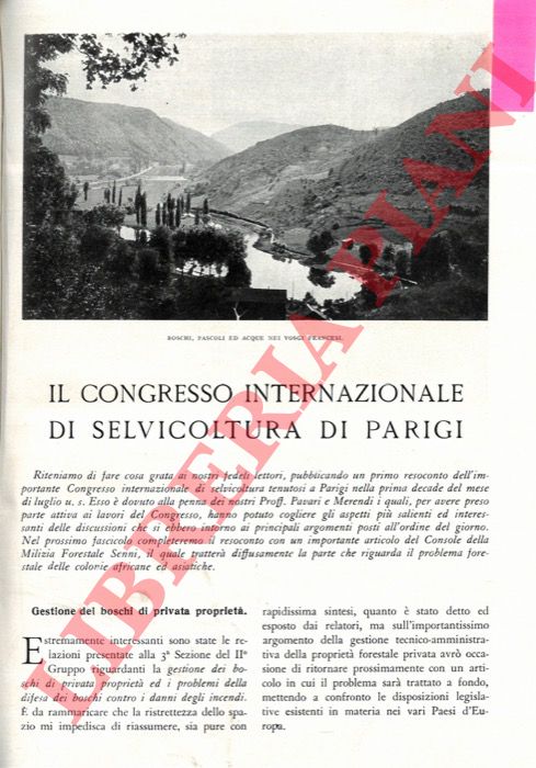 MERENDI A. - PAVARI Aldo - FIORI A. - - Il Congresso Internazionale di Selvicoltura di Parigi. Nel campo della selvicoltura. Le questioni coloniali al Congresso Internazionale di Selvicoltura di Parigi.