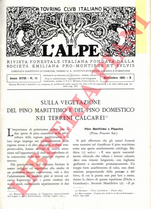 PAVARI Aldo - - Sulla vegetazione del Pino Marittimo e del Pino Domestico nei terreni calcarei.