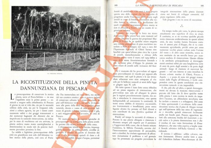 FEDERICO Salvatore - - La ricostituzione della pineta dannunziana di Pescara.
