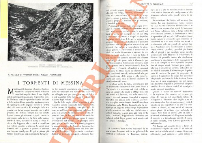 TEGANI Ulderico - - I torrenti di Messina.
