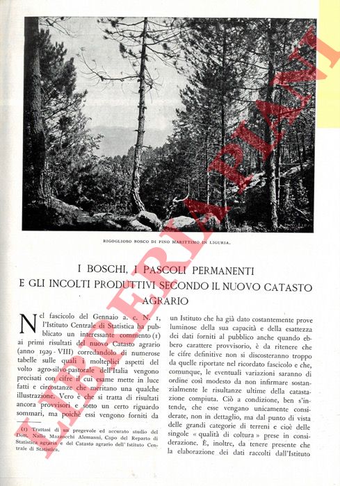 MERENDI A. - - I boschi, i pascoli e gli incolti secondo il nuovo Catasto agrario.
