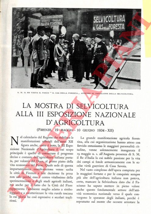 MERENDI A. - - La Mostra di Selvicoltura alla III Esposizione Nazionale d'Agricoltura (Firenze, 19 maggio - 10 giugno 1934-XII).