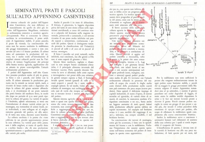 MINUCCI DEL ROSSO Stefano - - Seminativi, prati e pascoli sull'Appennino Casentinese.