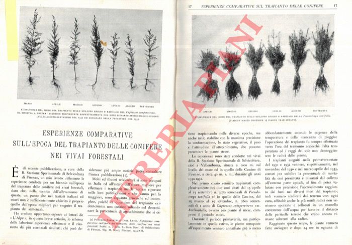 PUECHER PASSAVALLI Luigi - - Esperienze comparative sull'epoca di trapianto delle conifere nei vivai forestali.