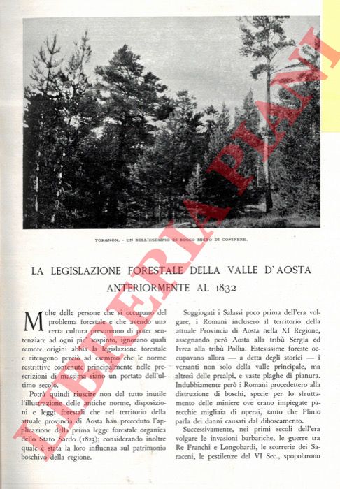 GIORDANO Guglielmo - - La legislazione forestale nella Valle d'Aosta anteriormente al 1832.