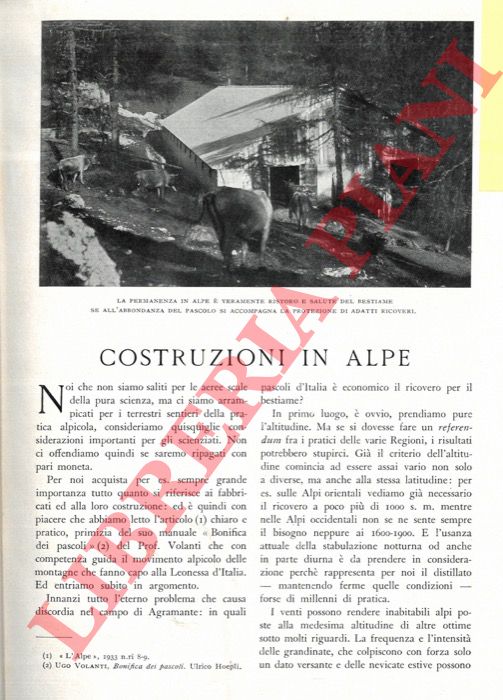 FRIEDMANN Giovanni - - Costruzioni in Alpe.