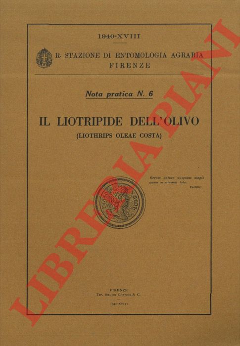 MELIS Antonio - - Il Liotripide dell'olivo (Liothrips oleae Costa).