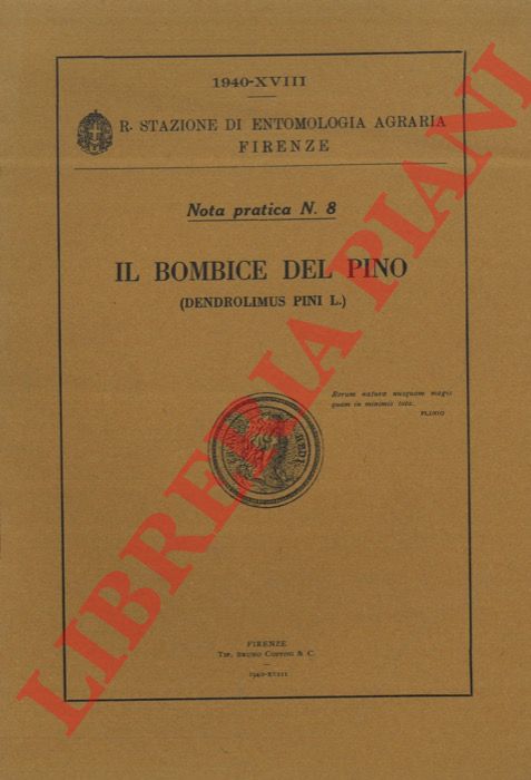 MELIS Antonio - - Il Bombice del Pino (Dendrolimus pini L.).