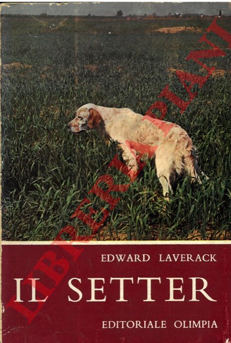 LAVERACK Edward - - Il setter. Presentazione di Giulio Colombo.