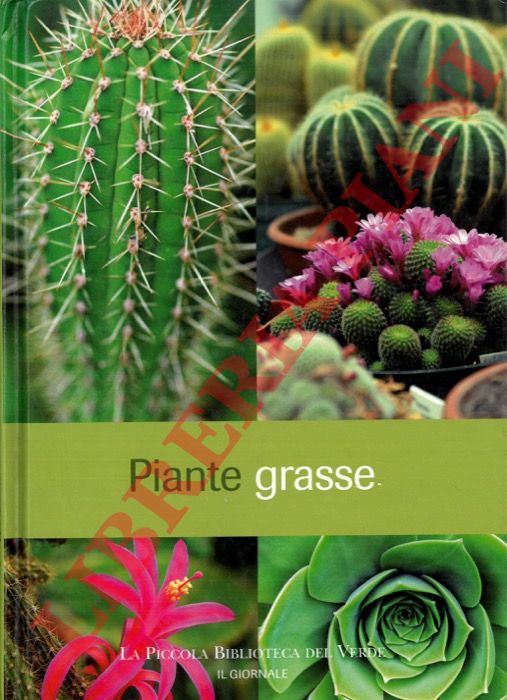 - - Piante grasse.
