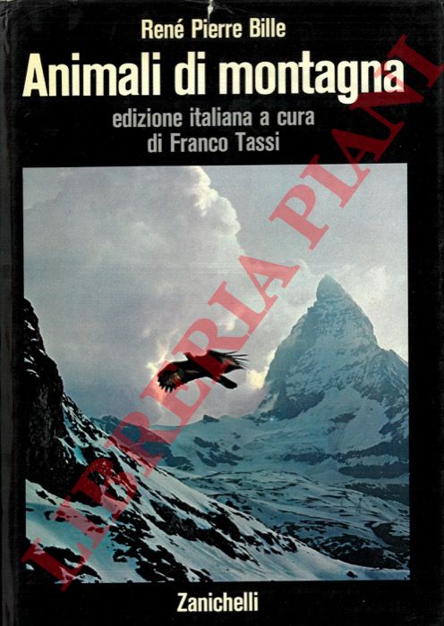 BILLE Ren Pierre - - Animali di montagna.