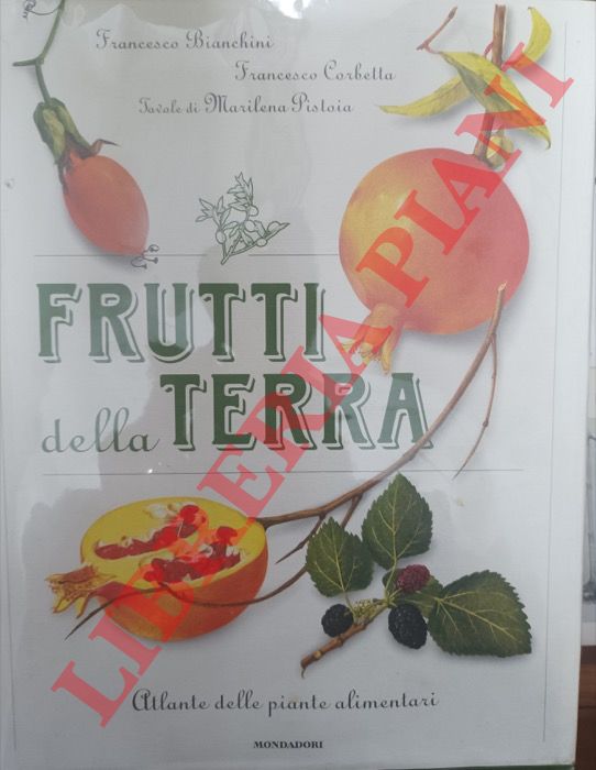 BIANCHINI F. - CORBETTA F. - - Frutti della terra. Atlante delle piante alimentari.
