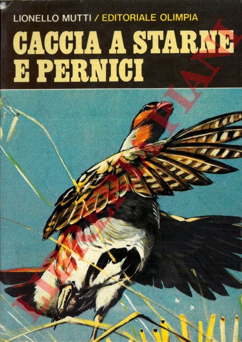 MUTTI Lionello - - Caccia a starne e pernici.