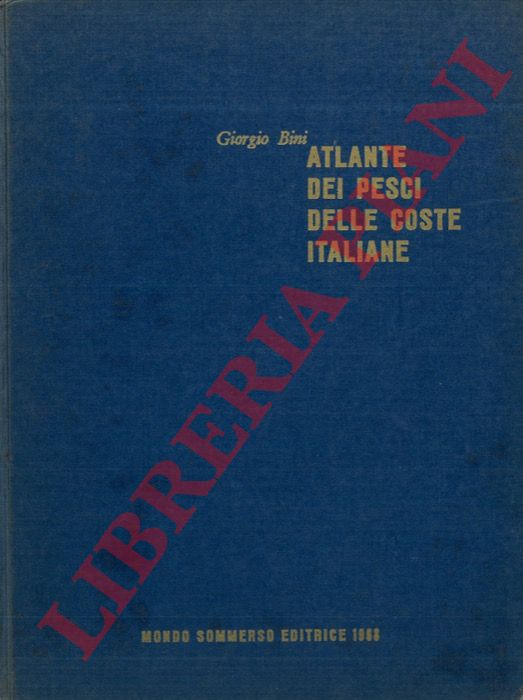 BINI Giorgio - - Atlante dei pesci delle coste italiane. Vol. IV - Osteitti.