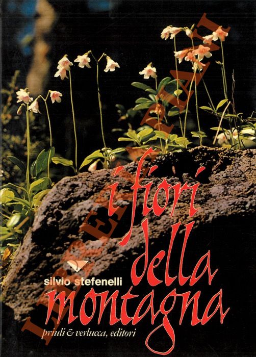 STEFENELLI Silvio - - I fiori della montagna.