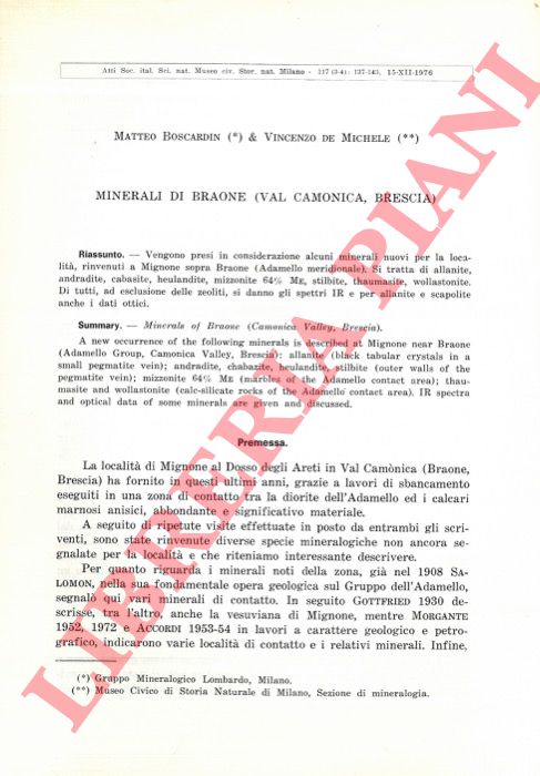 BOSCARDIN Matteo - DE MICHELE Vincenzo - - Minerali di Braone (Val Camonica, Brescia).