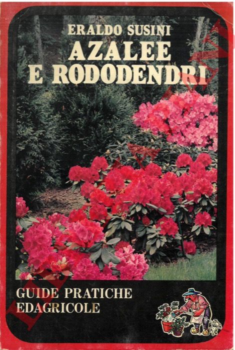 SUSINI Eraldo - - Azalee e rododendri.