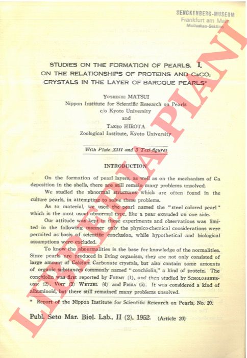 MATSUI Yoshiichi - HIROTA Takeo - - Studies on the formation of pearls. I. On the relationships of proteins and Ca CO3 Crystals in the layer of baroque pearls.