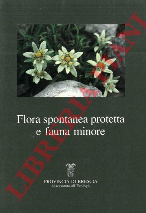 - - Flora spontanea protetta e fauna minore.