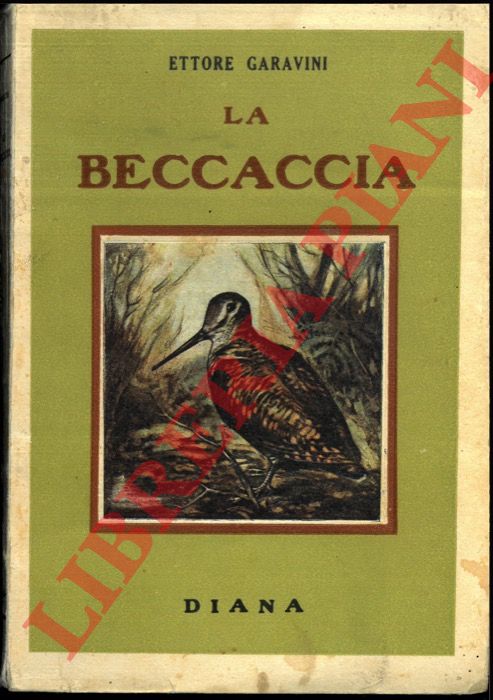GARAVINI Ettore - - La beccaccia. Anatomia. Nidificazione. Migrazione. Costumi. Caccia. Disegni di G. Minguzzi.