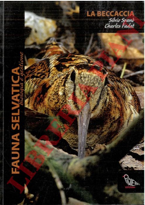 SPANO Silvio - FADAT C. - - La beccaccia.