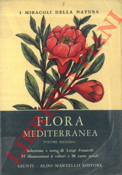 FENAROLI Luigi - - Flora mediterranea.