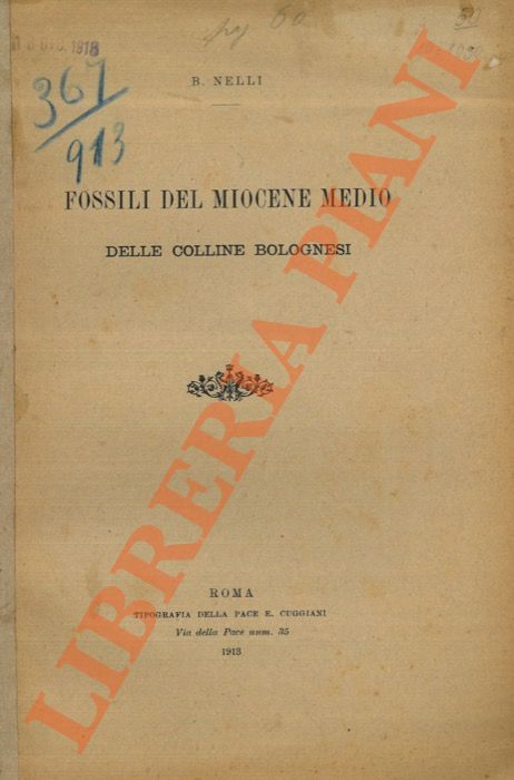 NELLI Bindo. -  - Fossili del Miocene medio delle colline bolognesi.