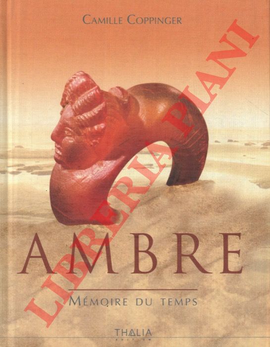 COPPINGER Camille - - Ambre. Mmoire du temps.
