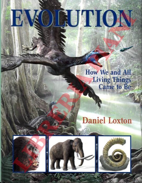 LOXTON Daniel - - Evolution.