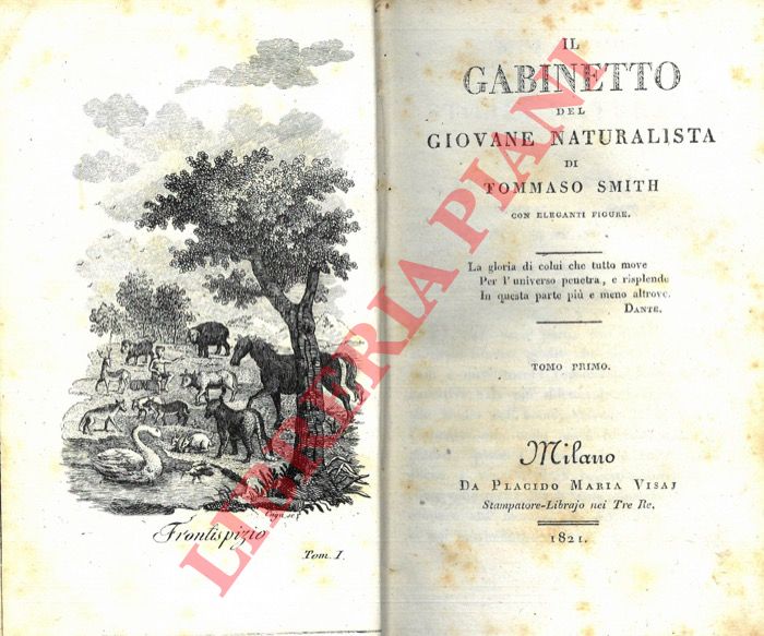 SMITH Tommaso [Thomas] - - Il gabinetto del giovane naturalista. Con eleganti figure. Tomo primo [-quarto].