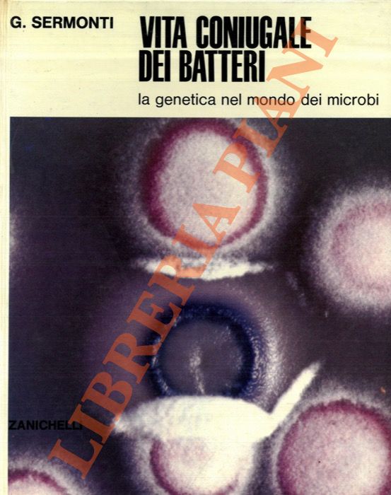 SERMONTI Giuseppe - - Vita coniugale dei batteri. La genetica nel mondo dei microbi.