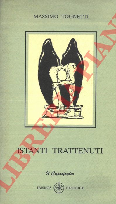 TOGNETTI Massimo - - Istanti trattenuti.