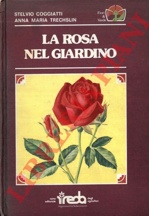 COGGIATI Stelvio - TRECHSLIN Anna Maria - - La rosa nel giardino.