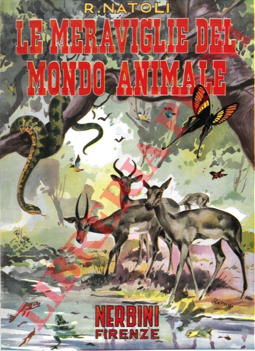 NATOLI Romualdo - - Le meraviglie del mondo animale. Opera di divulgazione sulla vita degli animali e sulle meraviglie dell'istinto.