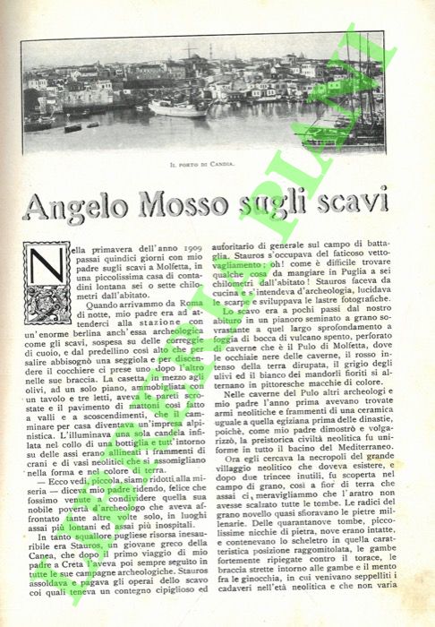MOSSO Mim