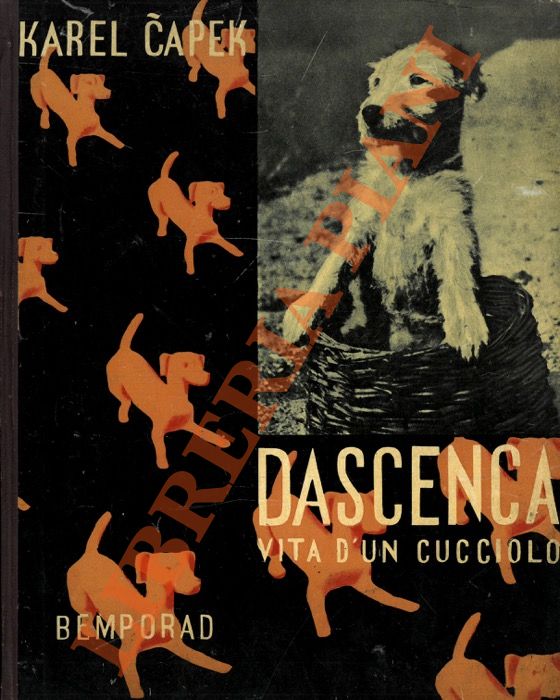 CIAPEK Karel [Karel Capek] - - Dascenca. Vita di un cucciolo.