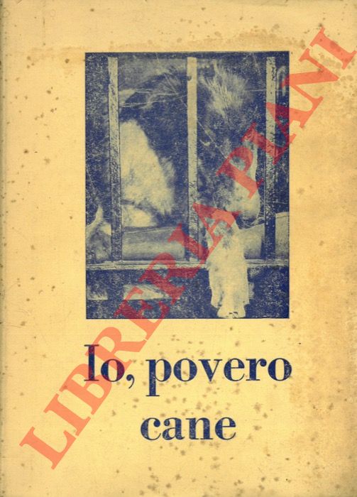 (SALSA Carlo) - - Io, povero cane.
