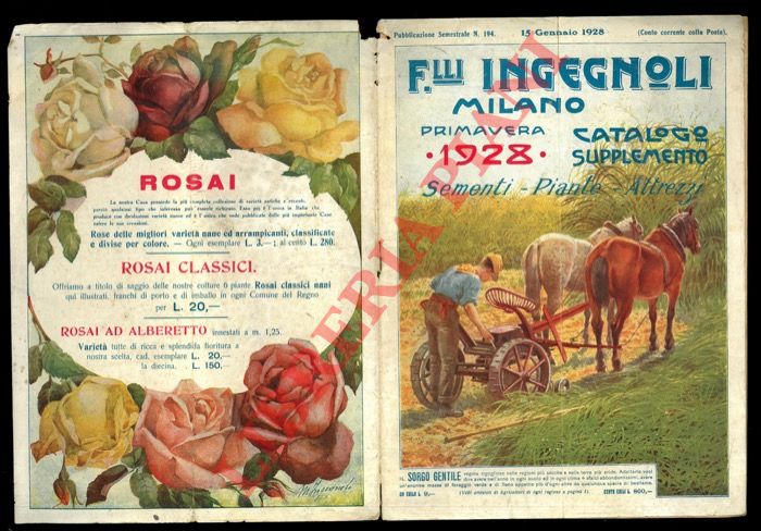 Fratelli Ingegnoli. Milano - - Catalogo supplemento. n 194. Sementi - Piante - Attrezzi.