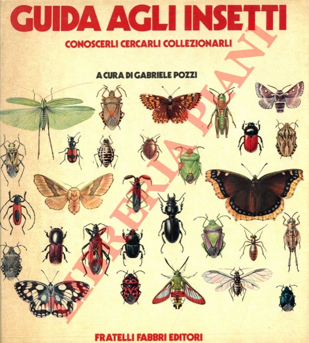(POZZI Gabriele) - - Guida agli insetti. Conoscerli cercarli collezionarli.