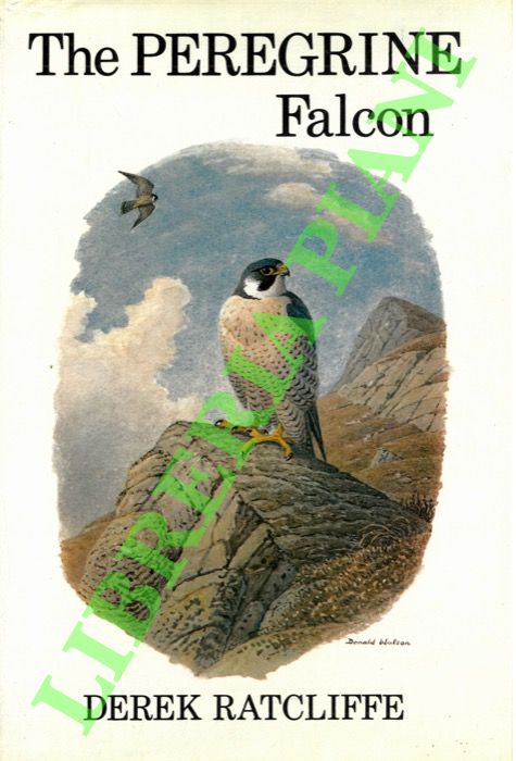 RATCLIFFE Derek - - The peregrine falcon.