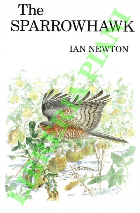 NEWTON Ian - - The Sparrowhawk.