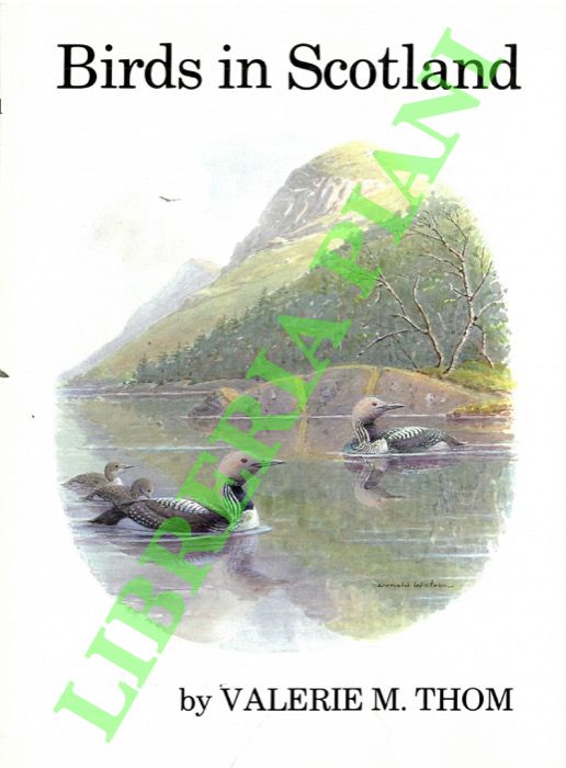 THOM Valerie M. - - Birds in Scotland.