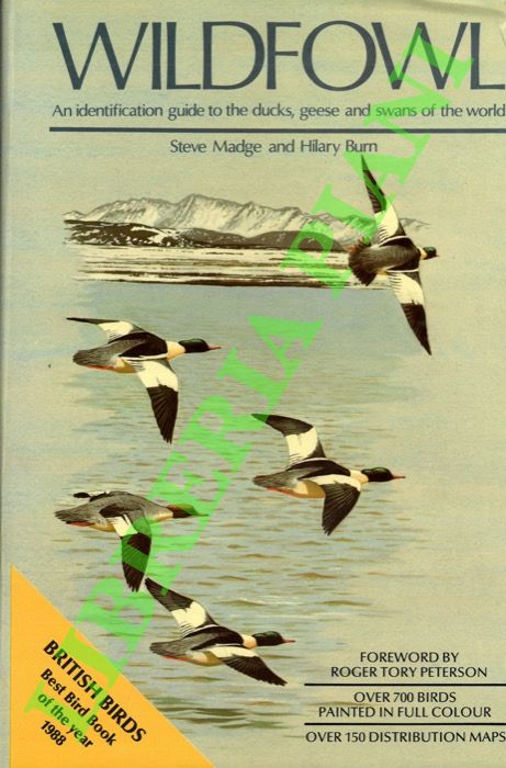 MADGE Steve - BURN Hilary - - Wildfowl. An identification guide to the ducks, geese and swans of the world.