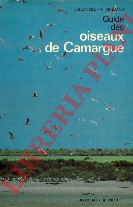 BLONDEL J. - ISENMANN P. - - Guide des oiseaux de Camargue.