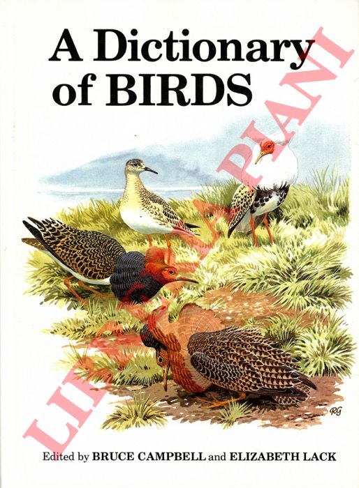 CAMPBELL Bruce - LACK Elizabeth - - A dictionary of birds.